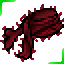 [N]Dragon ForeHead