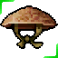 [N]Straw Hat Campones