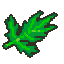 erva medicinal